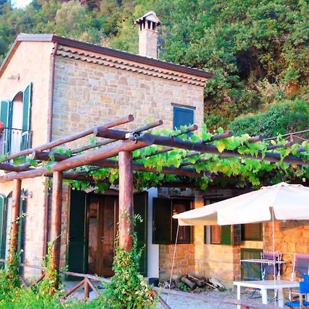 Bellezza In Cilento Panoramic Apts Castellabate Ngoại thất bức ảnh