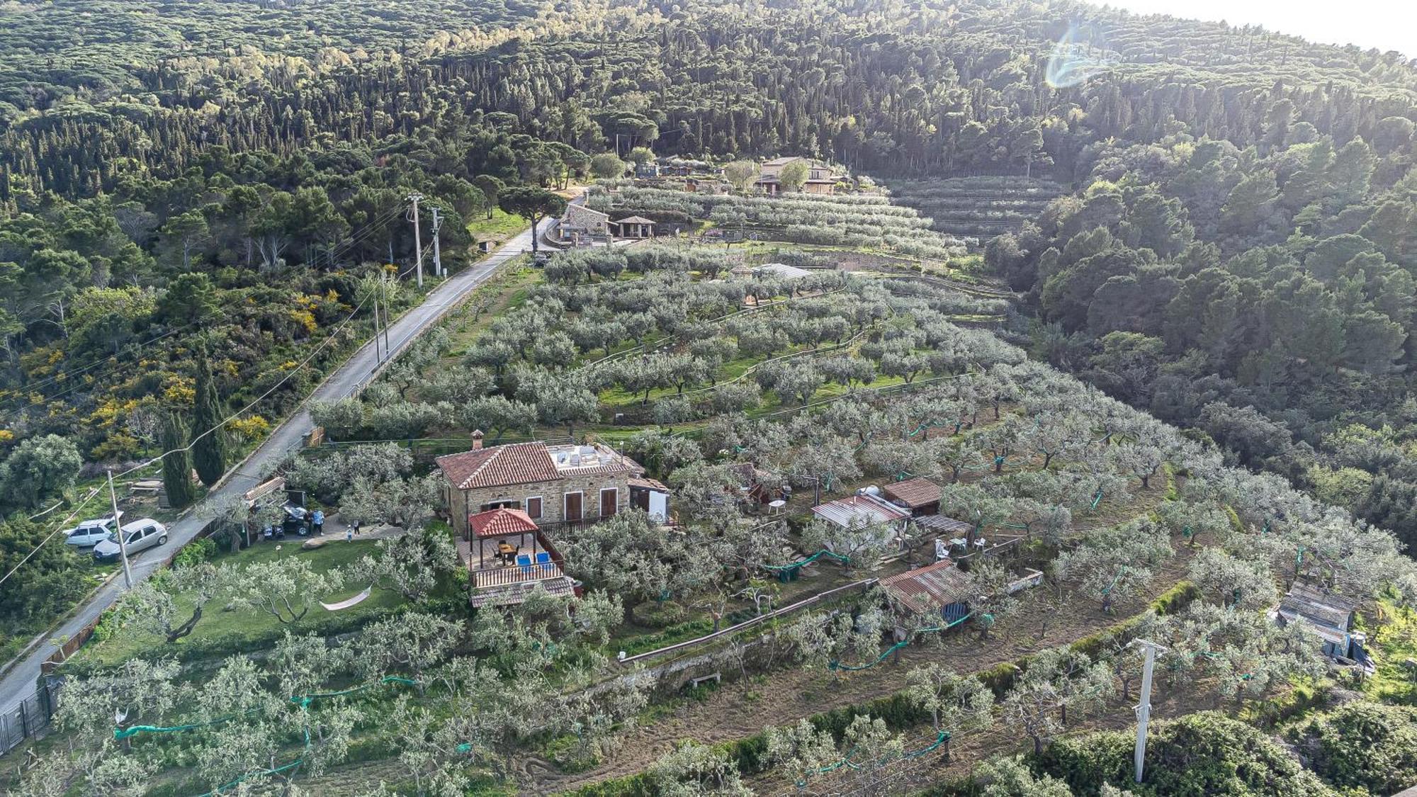 Bellezza In Cilento Panoramic Apts Castellabate Ngoại thất bức ảnh