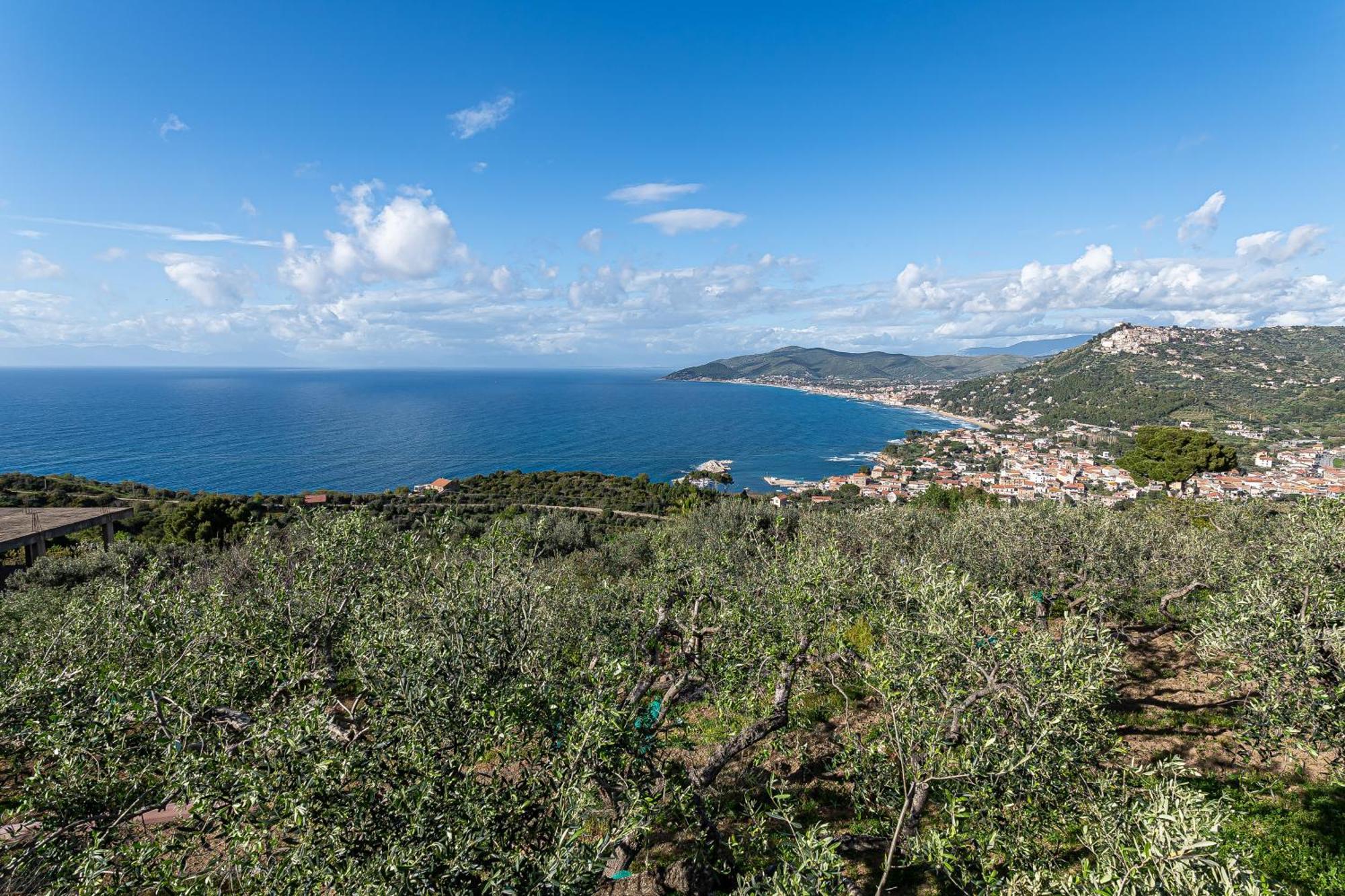 Bellezza In Cilento Panoramic Apts Castellabate Ngoại thất bức ảnh