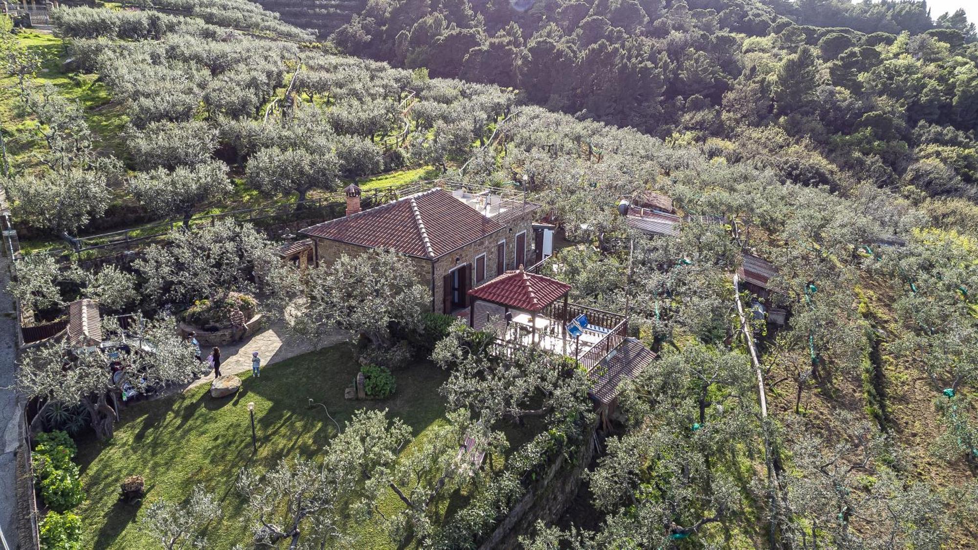 Bellezza In Cilento Panoramic Apts Castellabate Ngoại thất bức ảnh