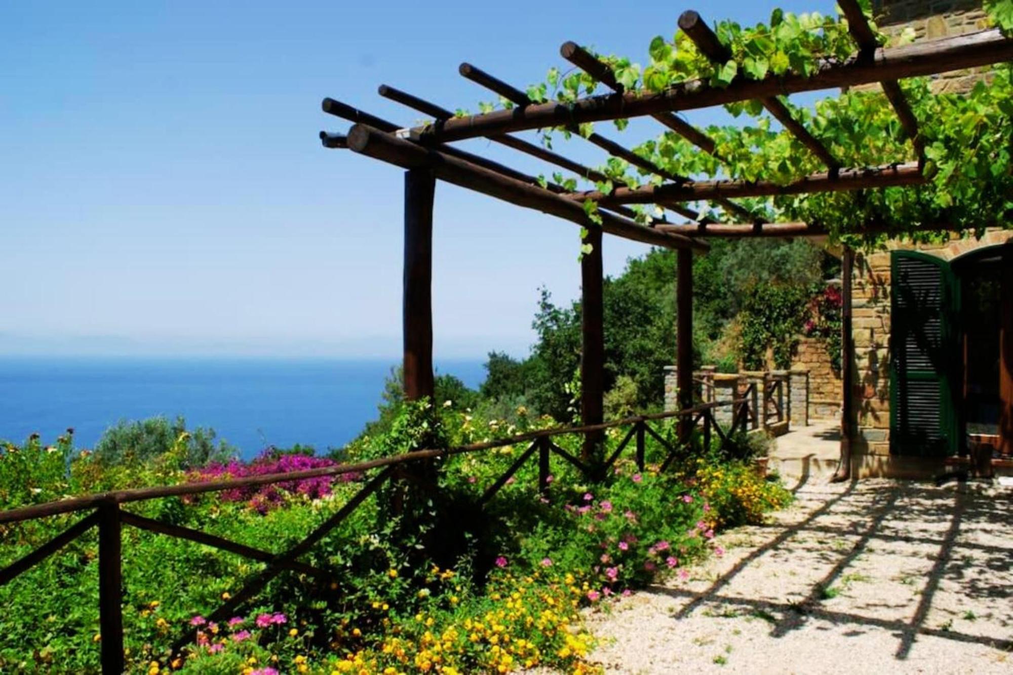 Bellezza In Cilento Panoramic Apts Castellabate Ngoại thất bức ảnh